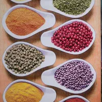 فروشنده و حسابدار و بازاریاب خانم فقط