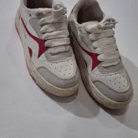 کفش زنانه|کیف، کفش، کمربند|کهریزک, |دیوار