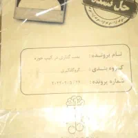 دو بازی هیجان انگیز  -- پرونده زار الود