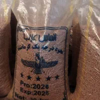 نخود بذری درجه یک