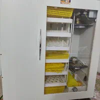 دستگاه جوجه کشی تمام اتومات کبیریزد|لوازم جانبی حیوانات|یزد, |دیوار