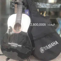 گیتار ایرانی و خارجی در موزیک ارژنگ|گیتار، بیس، امپلیفایر|پردیس, فاز ۳|دیوار