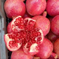 رب انار فردوس