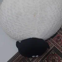 عروسک گوسفند بزرگ