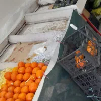 قفسه میوه فروشی
