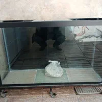 آکواریوم