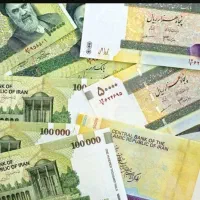 شریک و سرمایه گذار