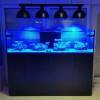 ساخت آکواریوم آب شور