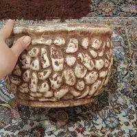 گلدان|گل و گیاه طبیعی|تهران, جی|دیوار