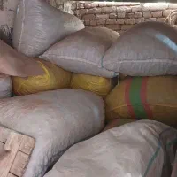 فلفل تند خوشک هستش کسی خواست درختمتم|عمده‌فروشی|لیلان, |دیوار