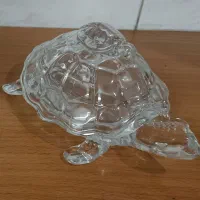 لاک پشت تزئینی