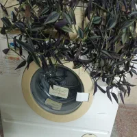 ماشین لباسشویی|ماشین لباسشویی و خشک‌کن لباس|سیاهکل, |دیوار