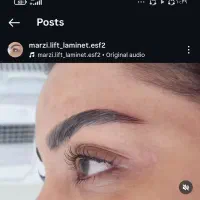 آموزش لیفت ولمینت مژه ابرو|خدمات آرایشگری و زیبایی|اصفهان, چشمه باقرخان|دیوار