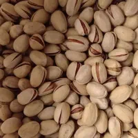 طعم واقعی پسته ایرانی رو امتحان کن.|خوردنی و آشامیدنی|پاکدشت, پاکدشت (مامازند)|دیوار