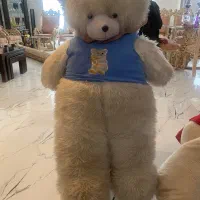 عروسک خرس|اسباببازی بچه|تبریز, |دیوار