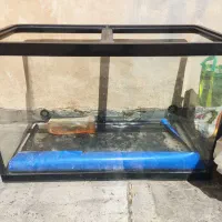 آکواریوم شرکتی...