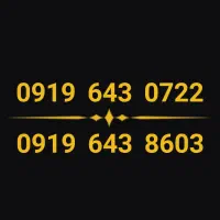 0919.643.0722  0919.643.8603