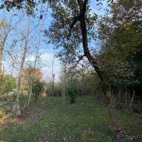 زمین شهربیجار کوکنه بهترین ویو|فروش زمین و ملک کلنگی|رشت, دباغیان|دیوار