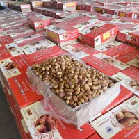 خرمای زاهدی قیمت توافقی