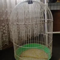 قفس پرنده