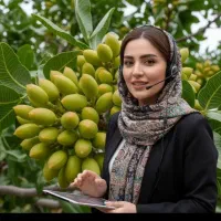 فروش نهال های پر ثمر