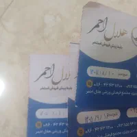 بلیط استخر حلال احمر