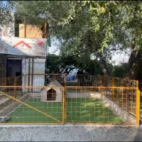 پانسیون آماده و فعال