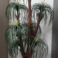 درختچه مصنوعی تزیینی خارجی کاملا سالم و تمیز