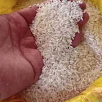 بزنج عنبربو معطر خوزستان