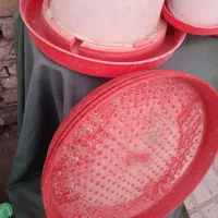 آب خوری ودون خوری مرغ و پرنده
