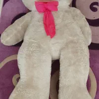 سفید برفی .قد ۱۶۰