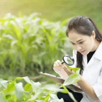 جویای کار در زمینه بیماری شناسی گیاهی