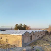اجاره مرغداری