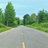 ۳۰۳متر‌ خانه محوطه قدیمی جنگلی موقعیت مکانی بکر|فروش خانه و ویلا|فومن, |دیوار
