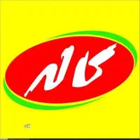 استخدام در شرکت