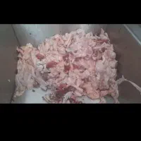 غذای حیوانات