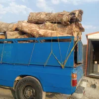 خرید چوب|خدمات باغبانی و درختکاری|کرج, کمال‌شهر|دیوار