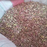 خدمات به کار کشاورز|خدمات باغبانی و درختکاری|اردکان, |دیوار