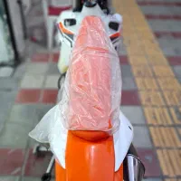 تریل برمودا ۲۵۰ اقساط۱۸ماهه|موتورسیکلت|قزوین, |دیوار