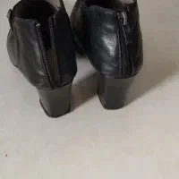 فروشی کفش زنانه|کیف، کفش، کمربند|اسفراین, |دیوار