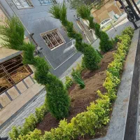 خدمات باغبانی گل کاری تعویض خاک گلدان باغچه کاری