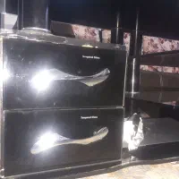 فروش  میز|میز تلویزیون|شیروان (خراسان), |دیوار