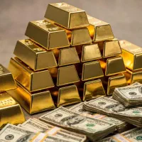 فرصت طلایی منتظر شماست