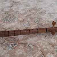 ساز قوپوز|سازهای سنتی|میانه, |دیوار