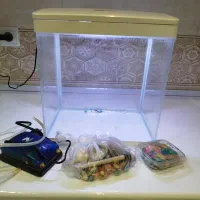 آکواریوم زینتی چراغ دار هفت رنگ|ماهی|اشنویه, |دیوار