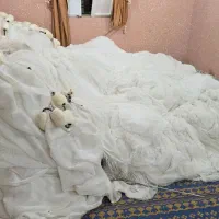 تور حشینه ومتو