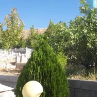 باغ شهری|فروش زمین و ملک کلنگی|شیراز, انجیره|دیوار