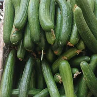 میوه ترتازه|خوردنی و آشامیدنی|مشهد, خین عرب|دیوار