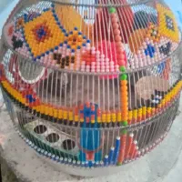 سهره خاکی و سهره باغی