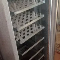 دستگاه جوجه کشی